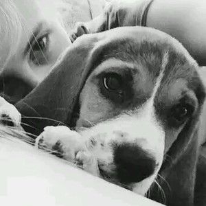 Meet your Posher, Doris